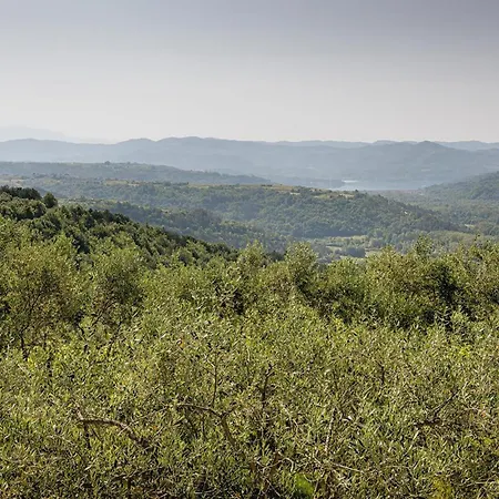 Horizon 241 Ferienhaus